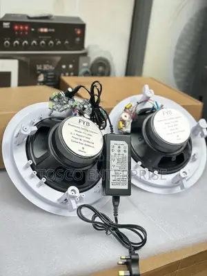 Original 2in1 Bluetooth Ceiling Speaker