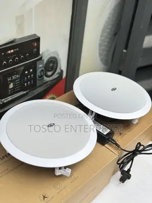 Original 2in1 Bluetooth Ceiling Speaker