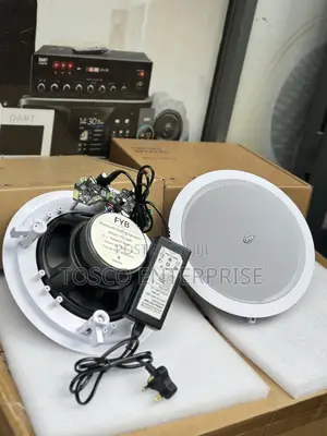 Original 2in1 Bluetooth Ceiling Speaker