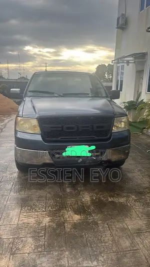 Ford F-150 SuperCab 4x4 2005 Gray