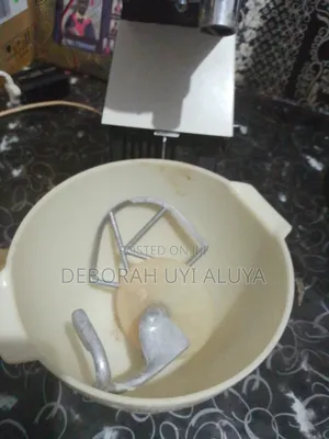 Cake Mixer With Two Hook
