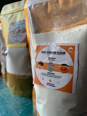 Gina's Beans Flour – Natural Beans Powder | Abba's Food