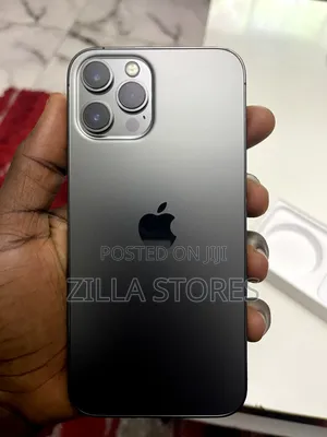 Apple iPhone 12 Pro Max 256 GB Gray