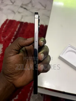 Apple iPhone 12 Pro Max 256 GB Gray