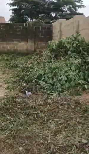 Fenced and Gated One Plot of Land at Adeoje Estate, Akala Express