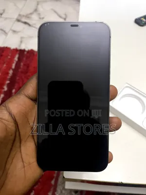Apple iPhone 12 Pro Max 256 GB Silver