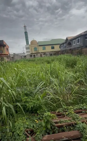 A Very Dry Land in the Heart of Shagari