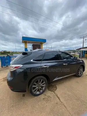 Lexus RX 2011 Blue