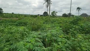Motorable Residential Land for Sale at Aboh Ogwashi-Ukwu, Delta