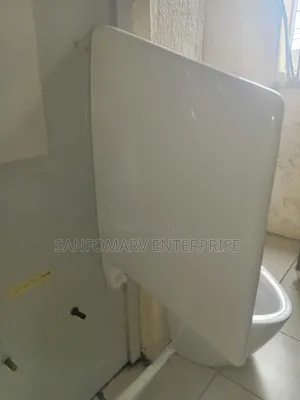 Urinal Divider
