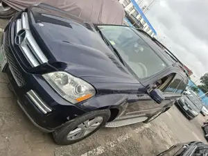 Mercedes-Benz G-Class 2008 Blue