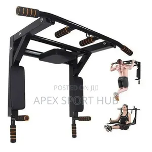 Wall Mount Pull Up Bar