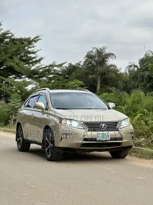 Lexus RX 350 2010 Gray