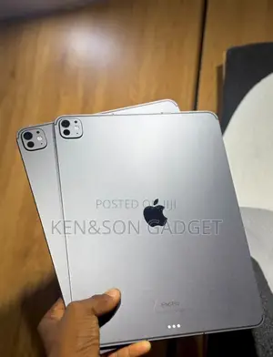 Apple iPad Pro 13 (2024) 256 GB Gray