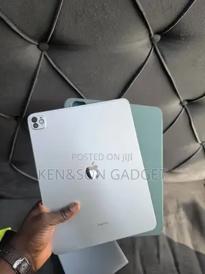 Apple iPad Pro 13 (2024) 256 GB Gray
