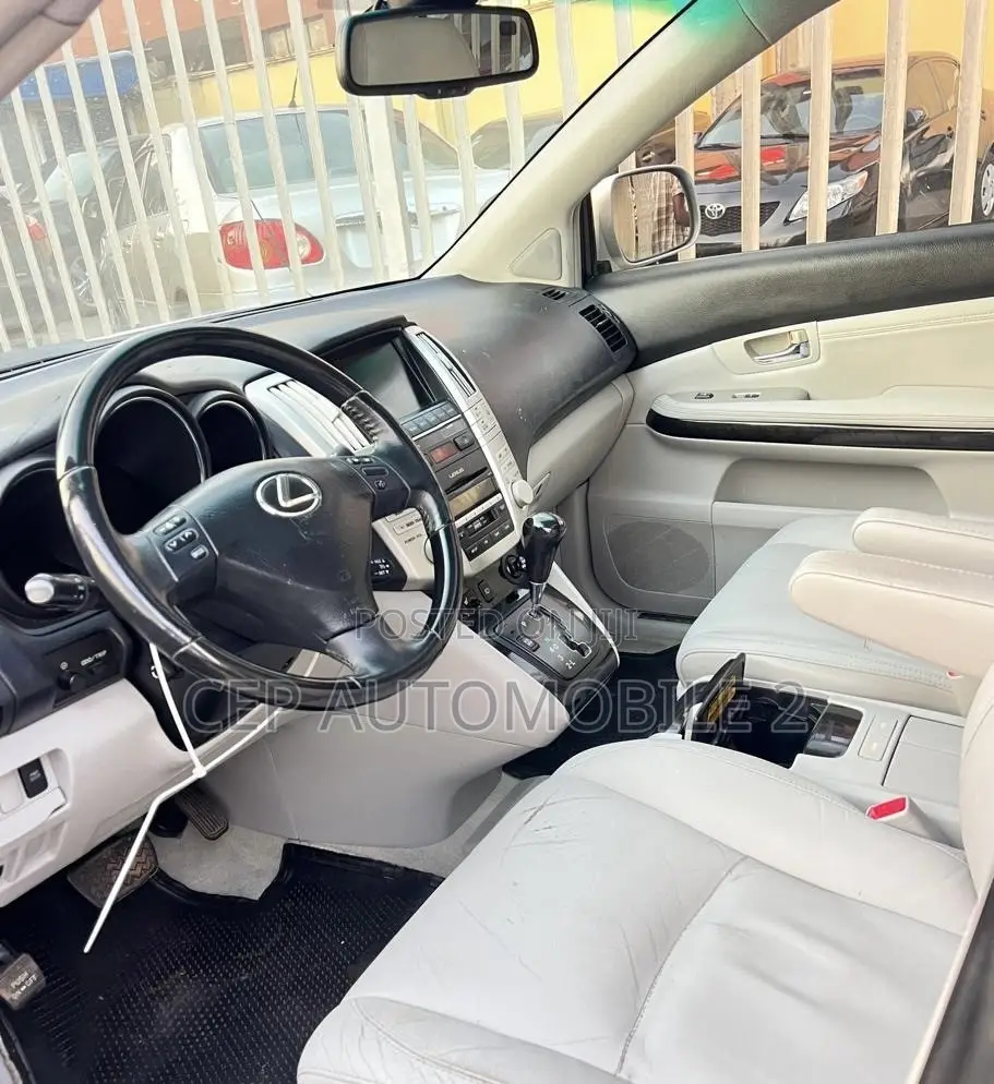 Lexus RX 2009 Silver