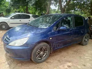 Peugeot 307 2005 Blue