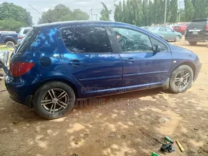 Peugeot 307 2005 Blue