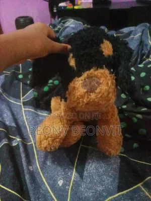 A New Toy Doggy
