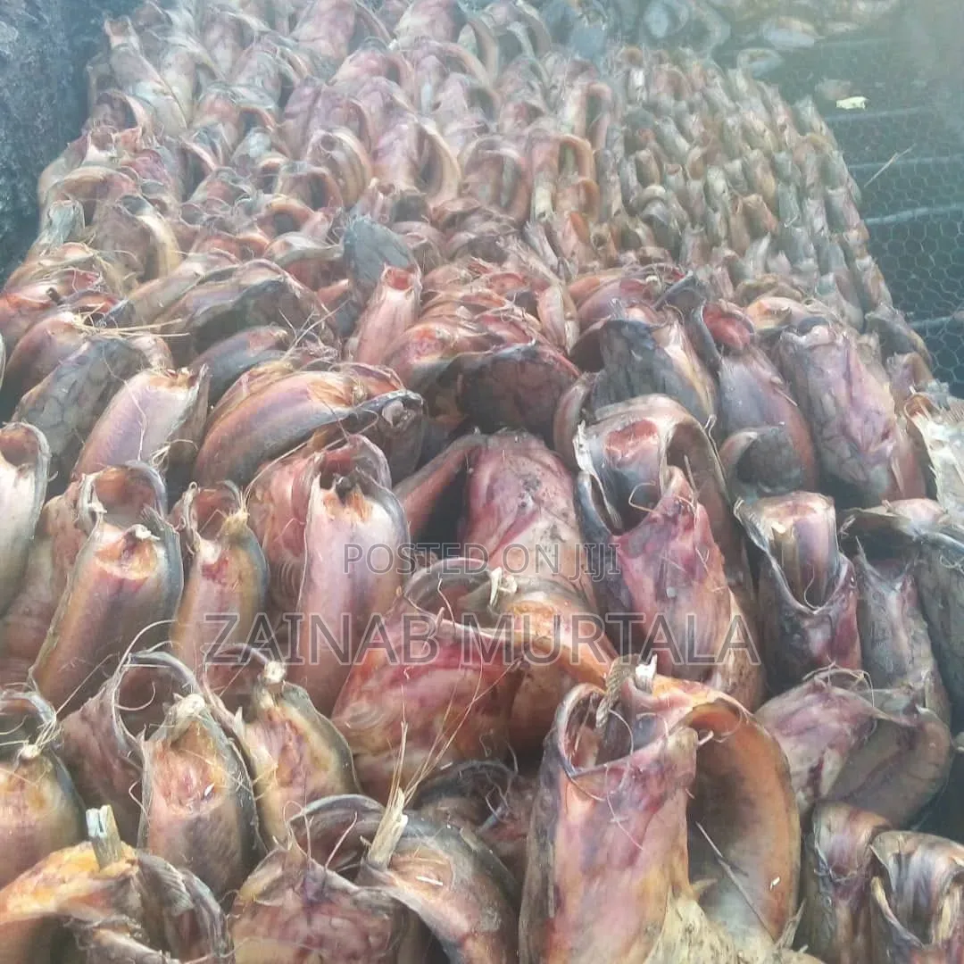 Borno River Breed Smoked Cat Fish