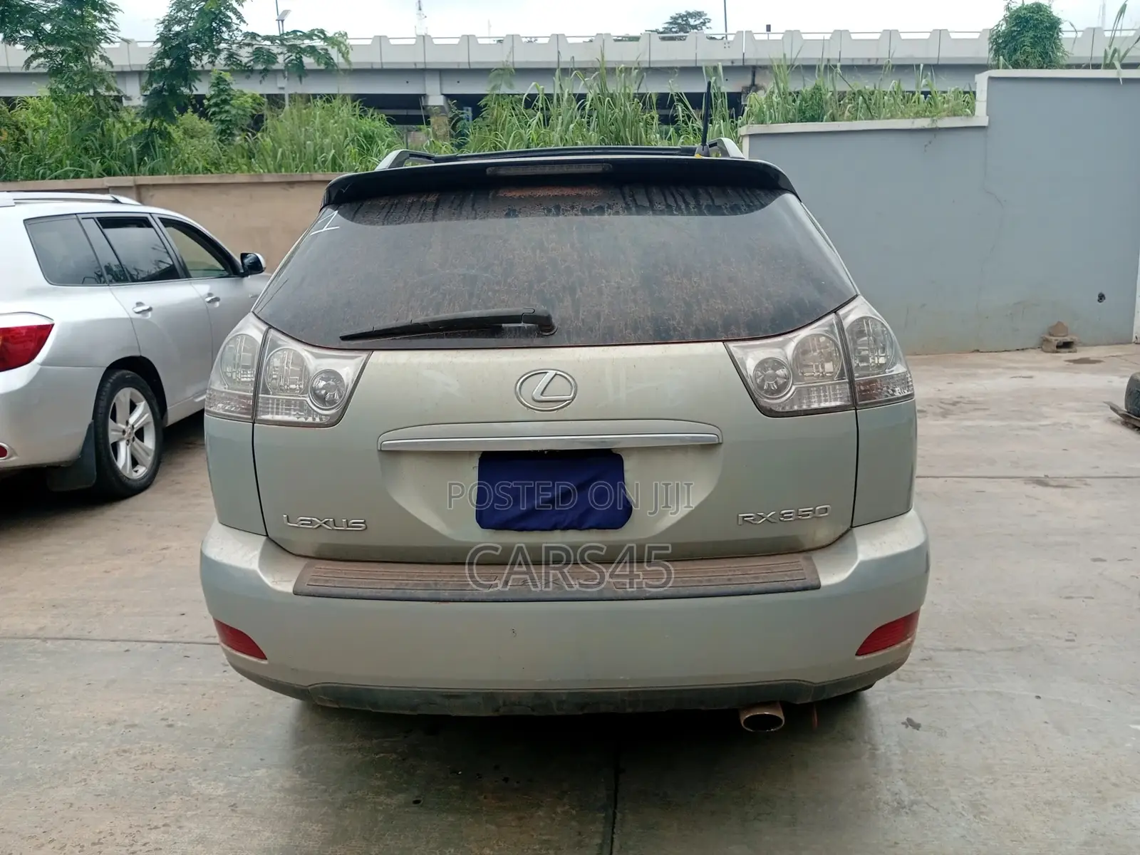 Lexus RX 2009 Gray