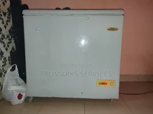 259L Deep Freezer for Sale