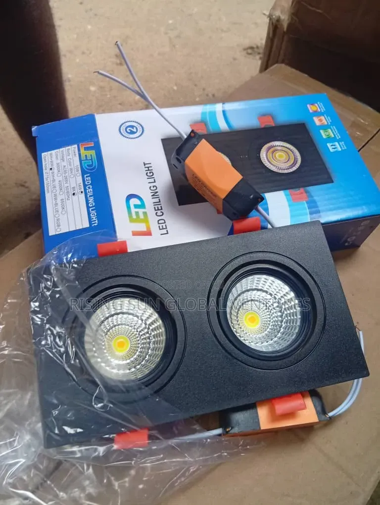 Double Eye Spot Light