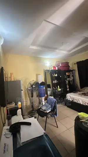 1bdrm Bedsitter in Aleyita, Pyakasa for rent