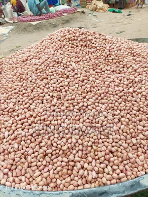 New Groundnut