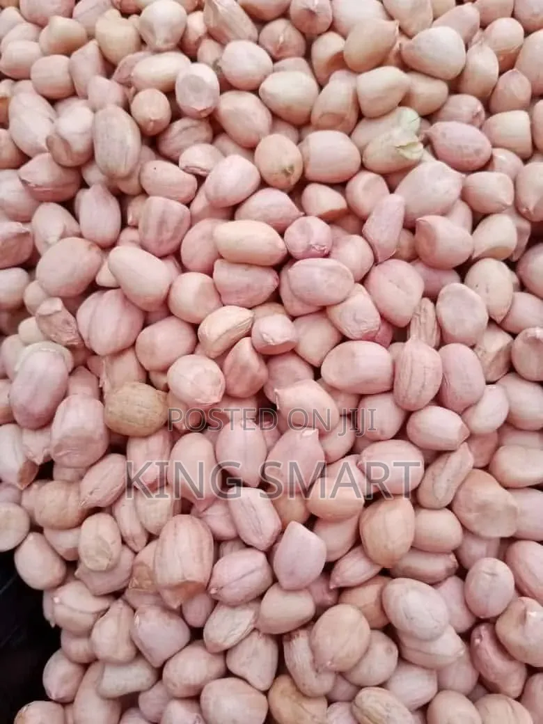 New Groundnut