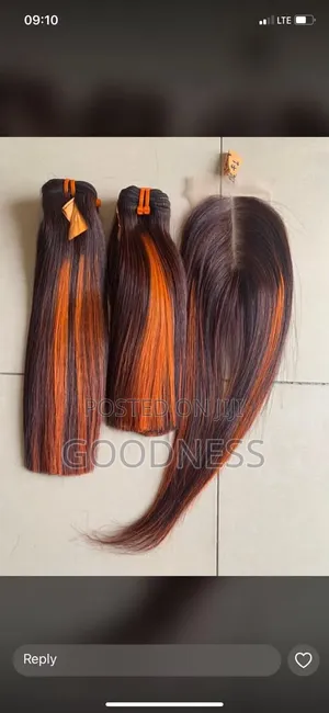 SDD Vietnamese Bone Straight