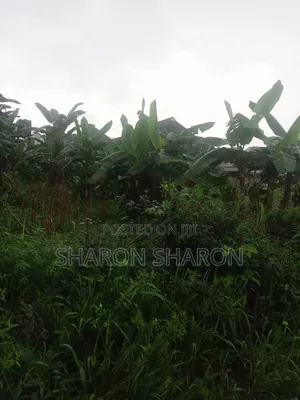 One and Half Plot of Land Is for Sale