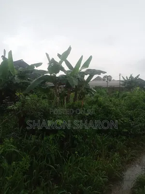 One and Half Plot of Land Is for Sale