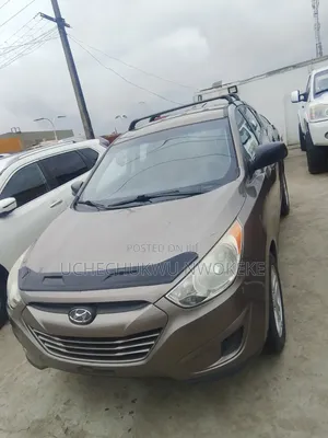 Hyundai Tucson 2013 Brown