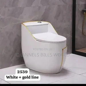 White and Gold Modern Toilet