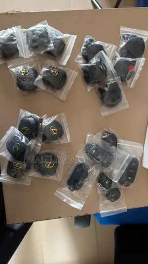 Key and Keyless Cover
