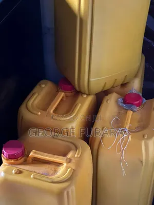25 Litres Palm Oil