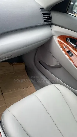 Toyota Camry 2010 Gray
