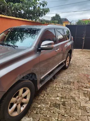 Lexus GX 460 2010 Gray