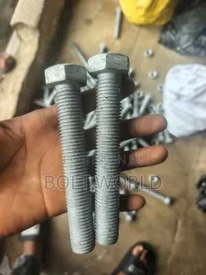 M20x 120 Hotdip Galvanized Bolt and Nuts