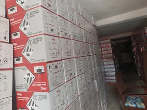Alpha 500w/1kwh Sako ESS Solar Gen