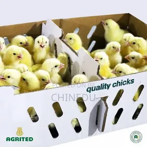 Agrited Day Old