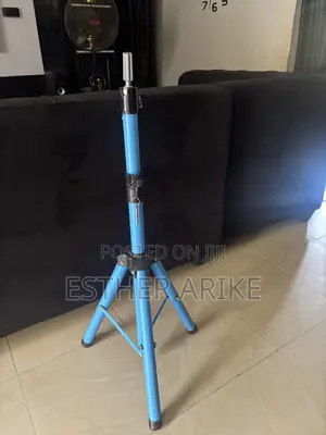 Wig   Stand