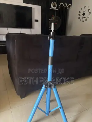 Wig   Stand