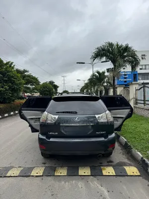 Lexus RX 350 AWD 2009 Gray