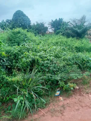 ‎🚨 Land for Sale in Benin City 🚨