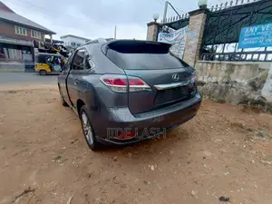 Lexus RX 2014 Gray