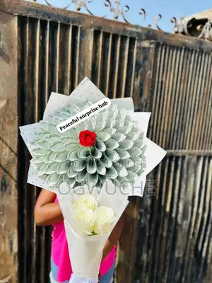Surprise Brithday Packages