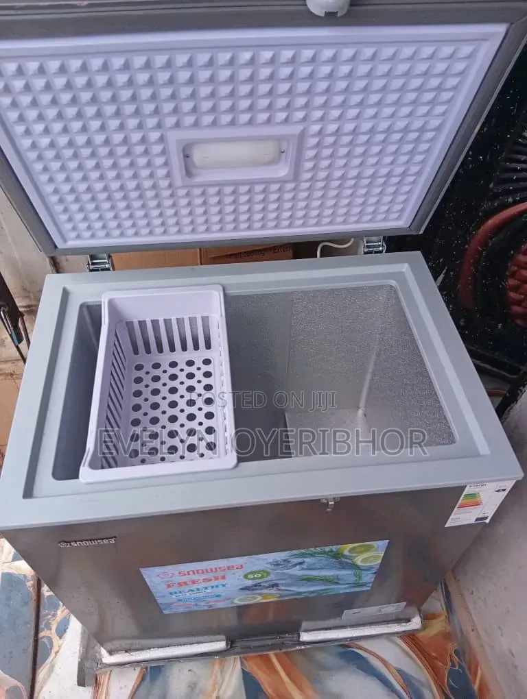 Snowsea Deep Freezer 160L