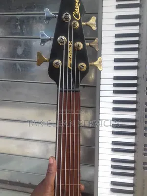 6strings Bass guitar.mad Tone . Peavey Product